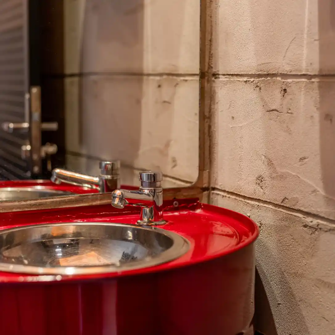 IMG_5391-Aprimorado-NR_1x_11zon