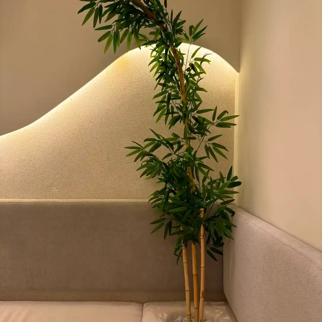 IMG_8023_1x_13_11zon