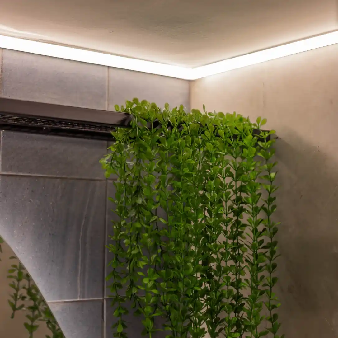 IMG_9565-Aprimorado-NR-Editar_1x_11zon